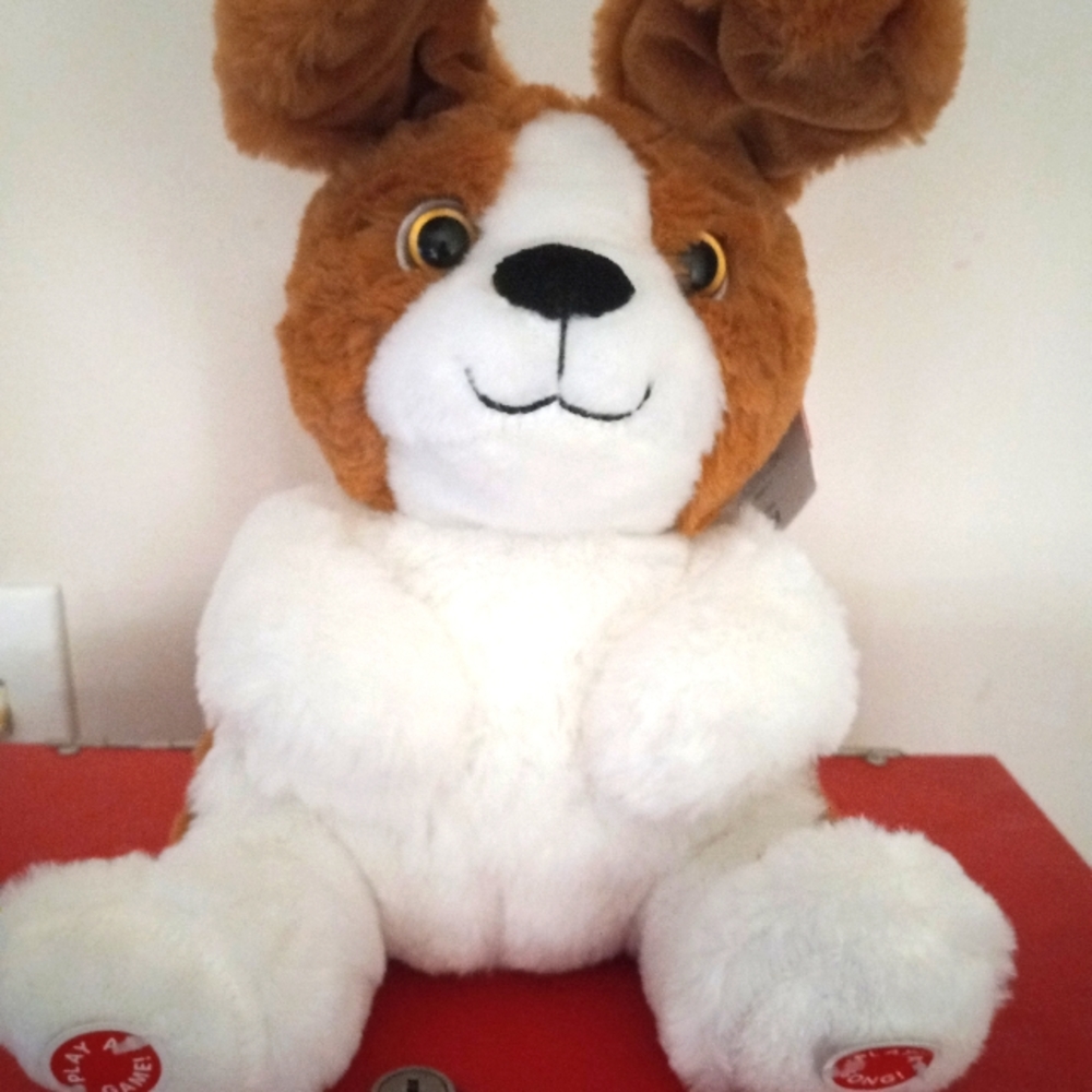 BRAND NEW PLAY RIGHT PEEK A BOO INTERACTIVE BUNNY